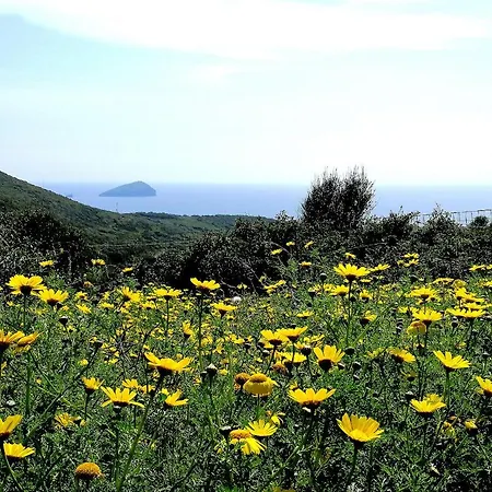 Glamping Erbe Matte * SantʼAntìoco