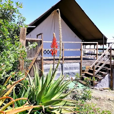 Glamping Erbe Matte * SantʼAntìoco