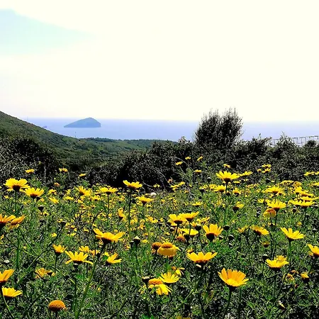 Glamping Erbe Matte SantʼAntìoco